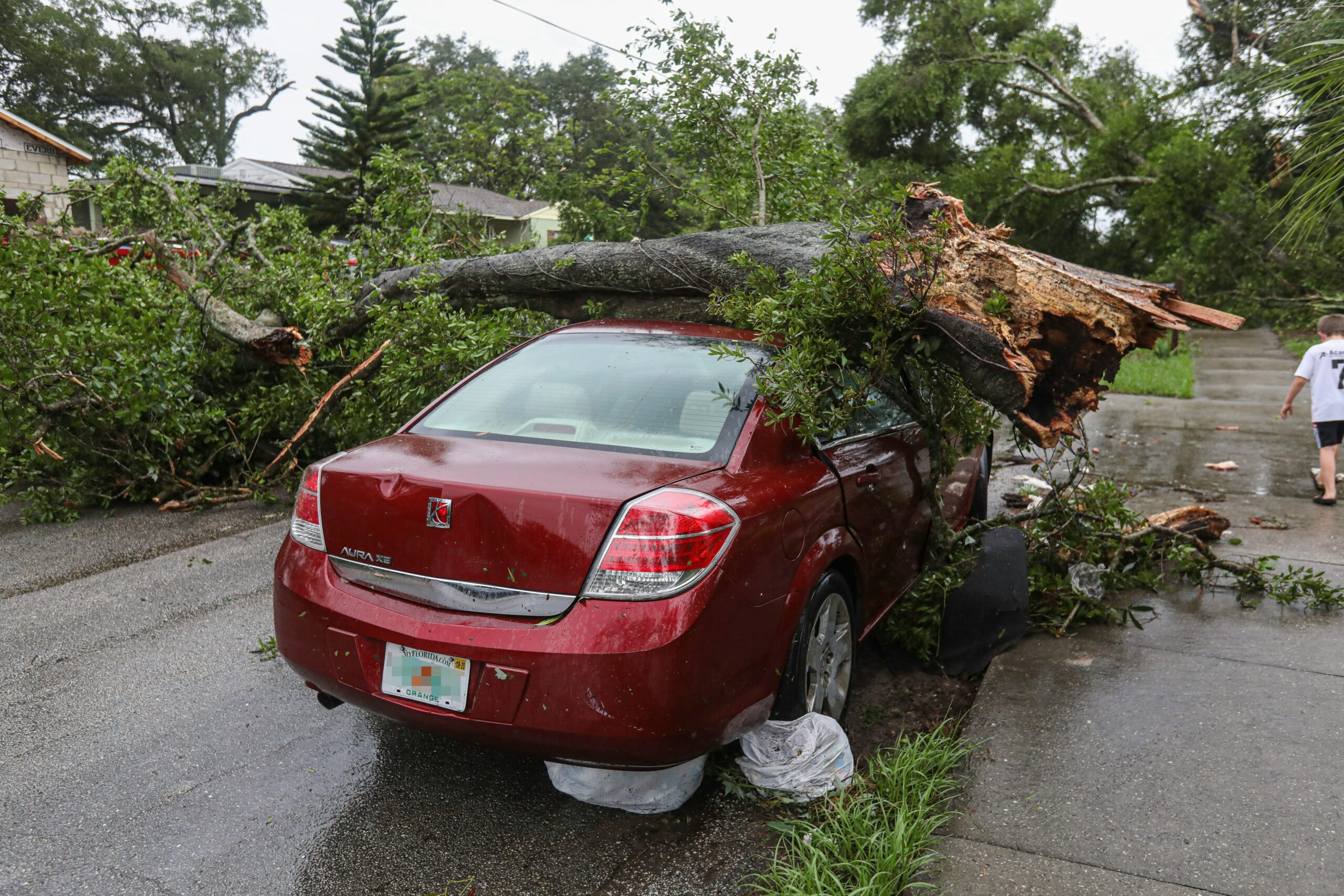 Storm Eowyn: A Record-breaking Weather Event and Its Impact