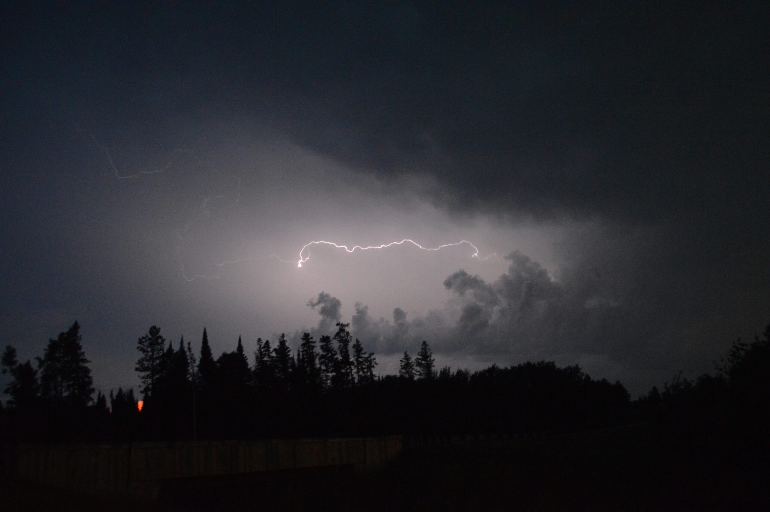 lightning on forest during night time