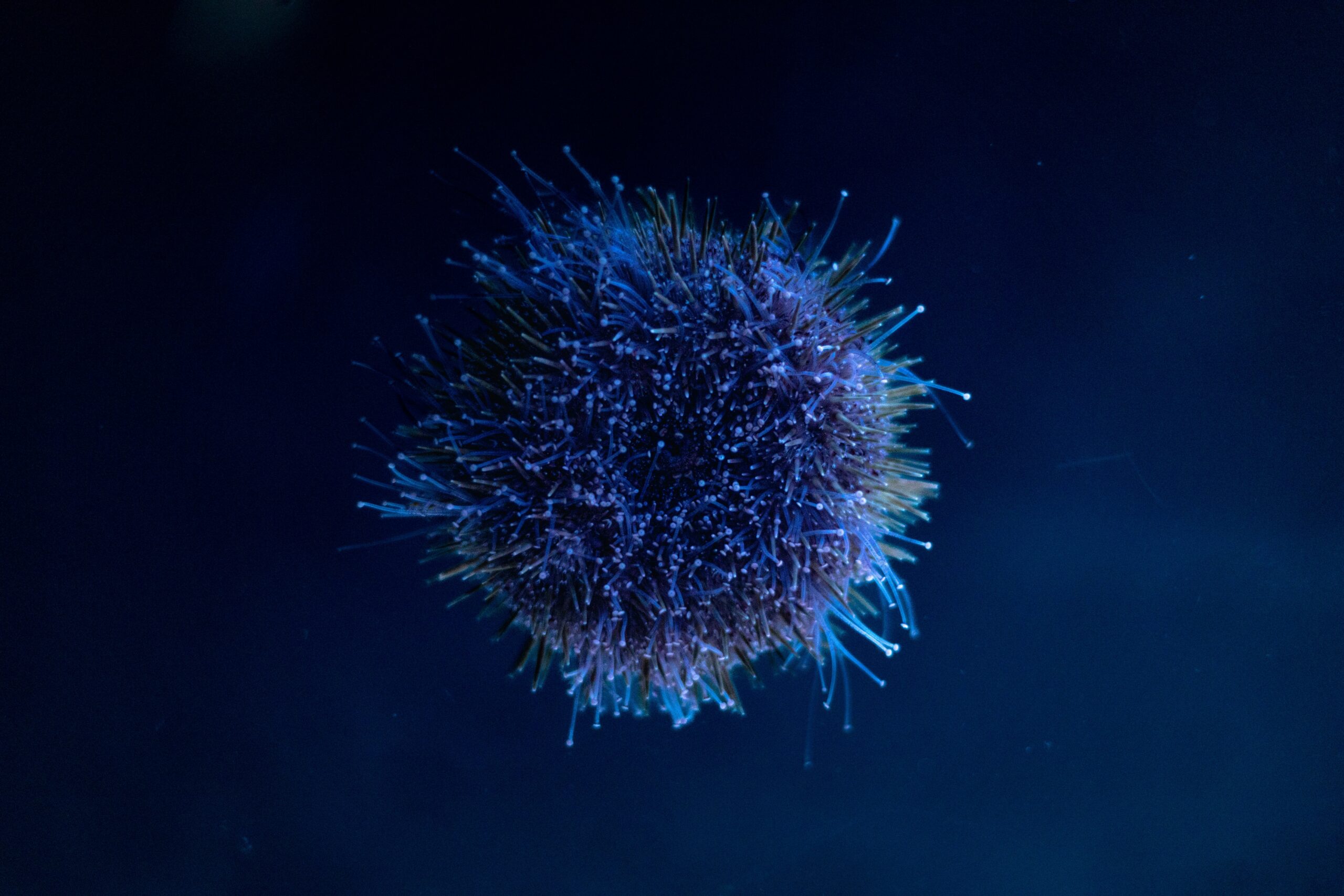 Groundbreaking Discoveries: The Nobel Prize in Medicine Awarded for Immune System Insights